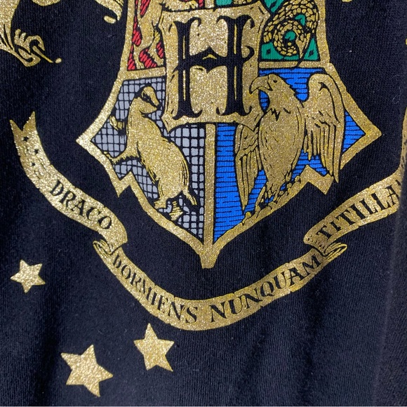 Harry Potter Glittery Hogwarts Crest Hooded Sweatshirt - Picture 4 of 11